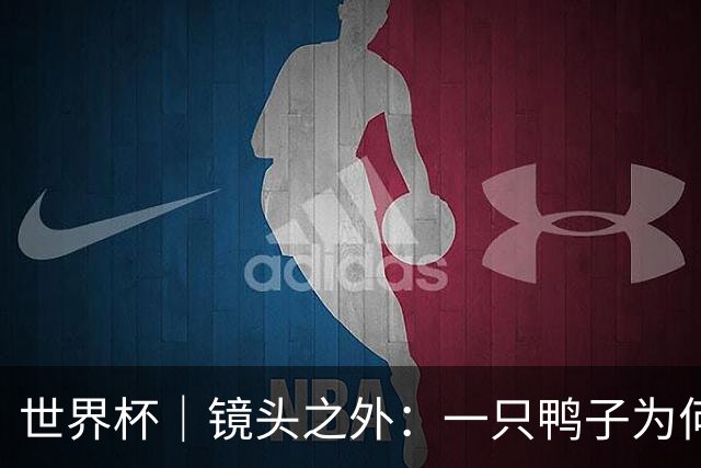 世界杯｜镜头之外：一只鸭子为何火遍世界杯？
